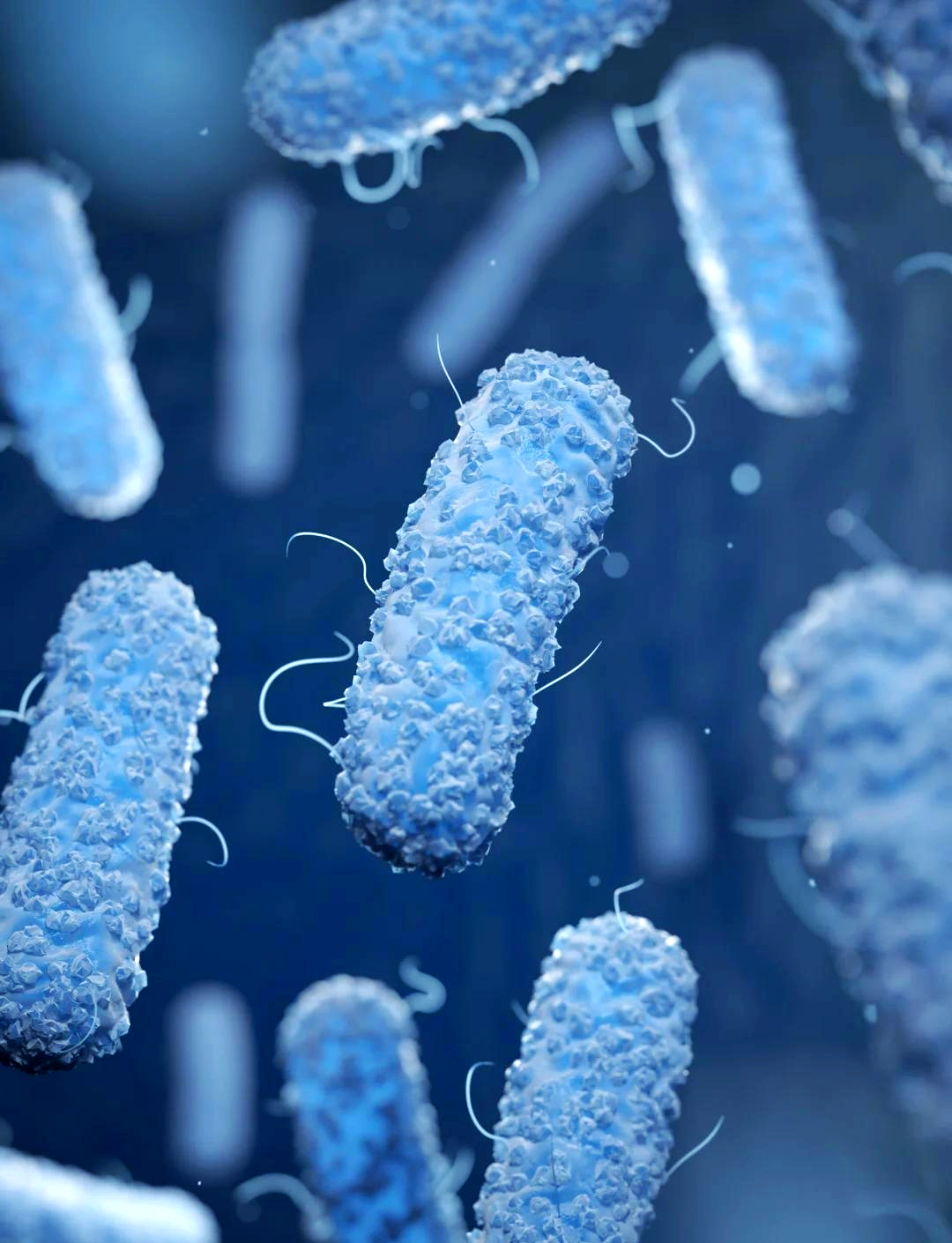 合成生物制药中大肠杆菌能做什么药?