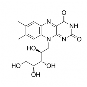 核黄素发酵技术分享